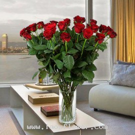 A Vase of 21 Red Roses
